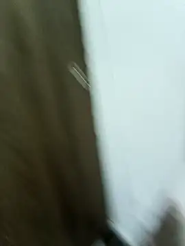 Maazikeen online show from November 17, 2025, 3:01 am