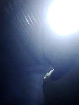 adchio online show from April 12, 2026, 8:25 pm