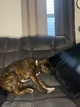 StableQuakers online show from March 12, 2026, 12:22 pm