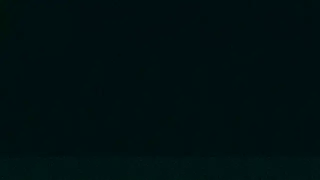 Snapshot of LeeCox chatting on December 21, 2024, 9:33 am LeeCox online show from December 21, 2024, 9:33 am