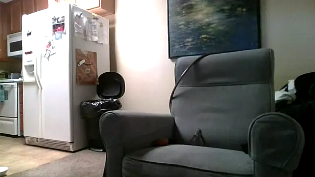 Snapshot of LeeCox chatting on February 2, 2025, 6:31 pm LeeCox online show from February 2, 2025, 6:31 pm