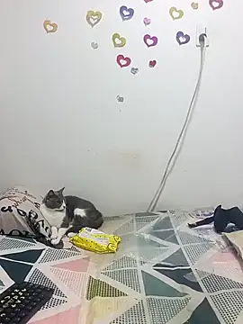 tany90 online show from October 31, 2025, 11:17 pm