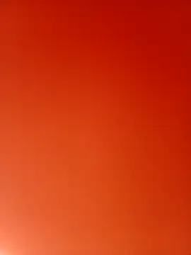 Lady 16 online show from February 25, 2026, 2:43 am