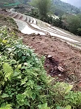 Snapshot of PhamPm70 chatting on April 2, 2026, 9:51 am PhamPm70 online show from April 2, 2026, 9:51 am