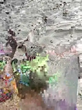 Snapshot of pegaso369 chatting on June 16, 2026, 2:52 pm pegaso369 online show from June 16, 2026, 2:52 pm