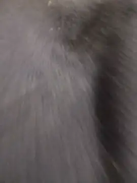 Funny Karina online show from December 15, 2025, 6:34 pm