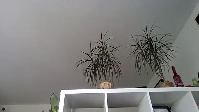 bigcockjohnxxxxx online show from November 13, 2025, 11:20 am