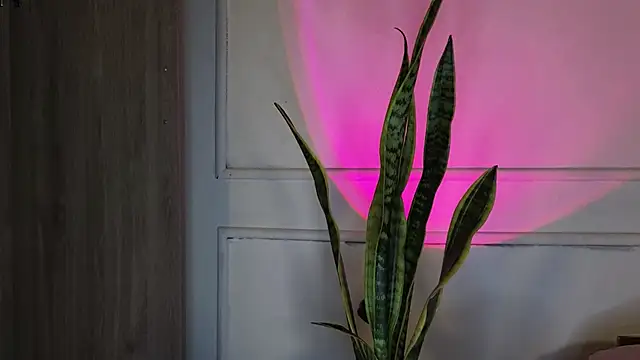 Snapshot of Ice_Princess_ chatting on October 3, 2025, 5:26 am Ice Princess online show from October 3, 2025, 5:26 am