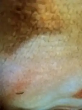 Snapshot of HOT-MUNDA chatting on December 17, 2025, 1:33 am HOT-MUNDA online show from December 17, 2025, 1:33 am