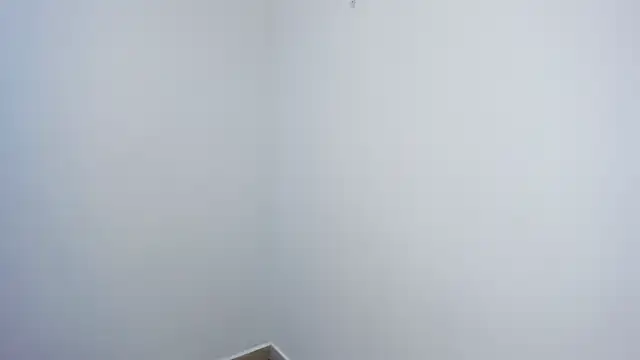 stephane rouss online show from November 18, 2025, 8:57 pm