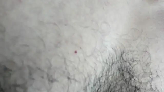 Snapshot of latinhotmuscle chatting on October 31, 2025, 3:18 am latinhotmuscle online show from October 31, 2025, 3:18 am