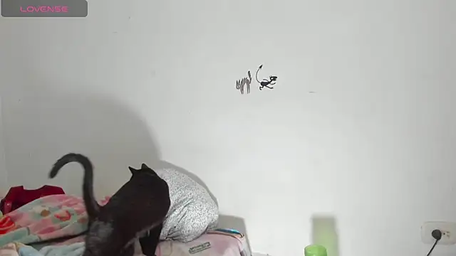 Snapshot of Raven_Rouge_ chatting on September 26, 2025, 6:17 am Raven Rouge online show from September 26, 2025, 6:17 am