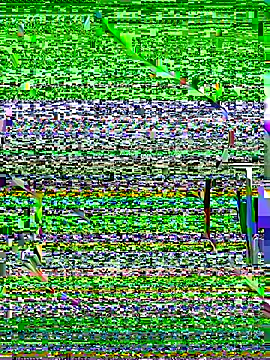 OrchidBae online show from October 8, 2025, 12:25 pm