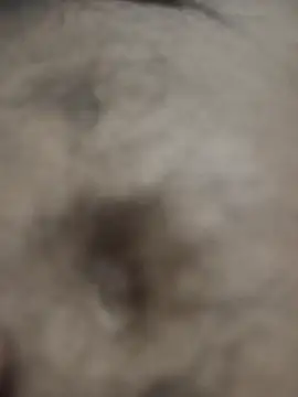 Snapshot of Hat-Raja77 chatting on October 8, 2025, 6:27 pm Hat-Raja77 online show from October 8, 2025, 6:27 pm