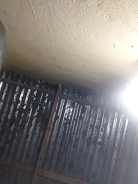 shebeshid online show from April 13, 2026, 5:07 pm