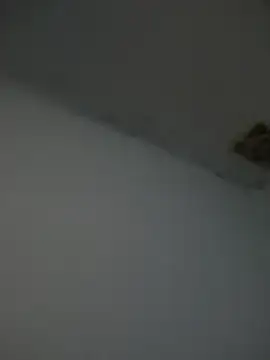 Snapshot of Kriffert chatting on November 1, 2025, 11:51 pm Kriffert online show from November 1, 2025, 11:51 pm