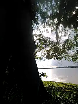 Snapshot of delesteli chatting on November 1, 2025, 8:33 pm delesteli online show from November 1, 2025, 8:33 pm