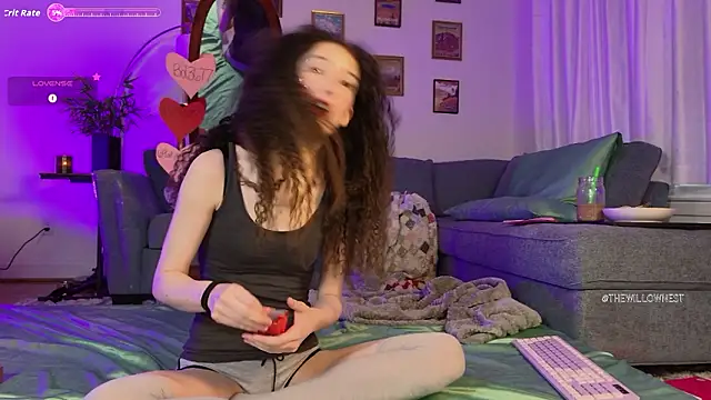 thewillownest  online show from February 6, 2026, 3:04 pm