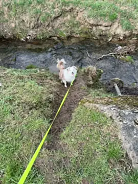 Snapshot of OliviaaFischer chatting on March 12, 2026, 1:39 pm OliviaaFischer online show from March 12, 2026, 1:39 pm