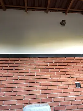 Dunot   online show from December 21, 2025, 9:16 am