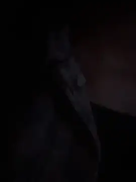 Snapshot of LilybethGray chatting on November 19, 2025, 10:43 pm LilybethGray online show from November 19, 2025, 10:43 pm