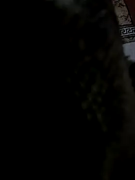 Lawrence067 online show from October 6, 2025, 7:00 pm