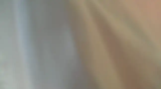 Snapshot of Liz_Hu chatting on December 6, 2024, 11:00 am Liz Hu online show from December 6, 2024, 11:00 am