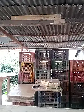 hoteder online show from February 16, 2026, 12:45 pm