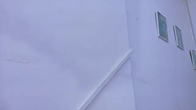 Lizbeth Rouse online show from November 8, 2025, 11:10 am