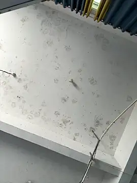 coco-o online show from September 26, 2025, 3:10 am