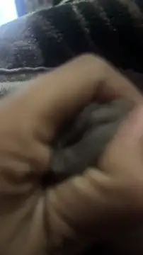 Snapshot of longfuckk chatting on December 20, 2025, 7:32 pm longfuckk online show from December 20, 2025, 7:32 pm