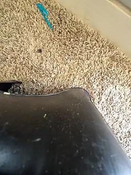 Snapshot of EsDezz88 chatting on March 22, 2026, 8:23 pm EsDezz88 online show from March 22, 2026, 8:23 pm