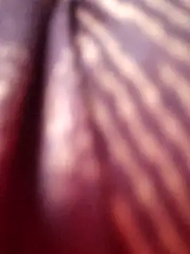 Snapshot of Tamilreethu chatting on October 5, 2025, 8:45 am Tamilreethu online show from October 5, 2025, 8:45 am