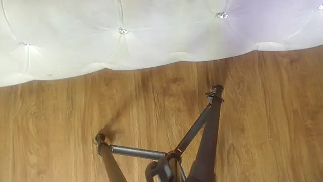 RylieRoss online show from November 27, 2025, 1:35 pm