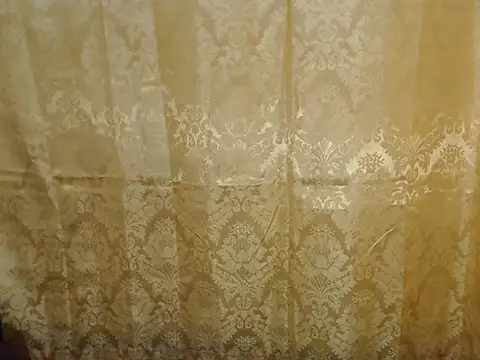 Snapshot of Soft_Angel8 chatting on February 10, 2026, 11:58 am Soft Angel8 online show from February 10, 2026, 11:58 am