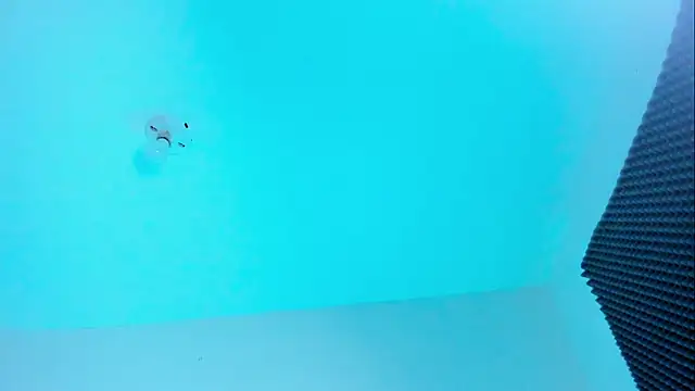 Ellope  online show from October 22, 2025, 11:04 pm