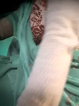 Snapshot of cut_renukadevi chatting on December 17, 2025, 1:55 am cut renukadevi online show from December 17, 2025, 1:55 am