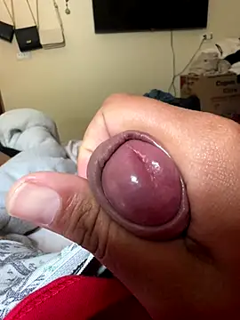 Ksc1802 online show from November 12, 2025, 4:51 pm