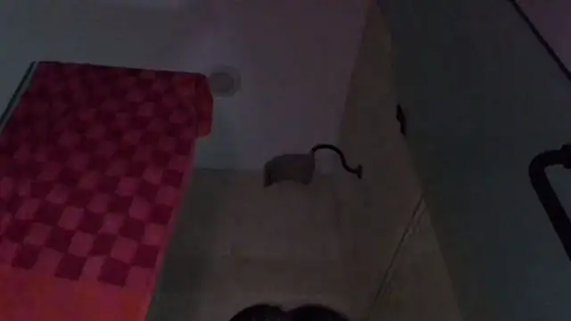 TallDrink11 online show from September 29, 2025, 10:25 pm