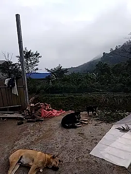 linda bae00 online show from December 19, 2025, 2:07 am