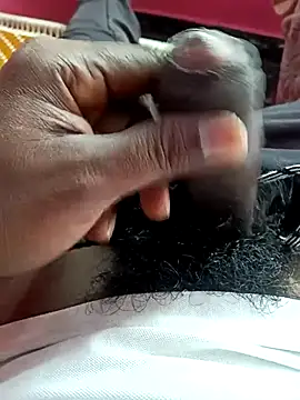 dolphiinn online show from December 5, 2025, 4:54 am