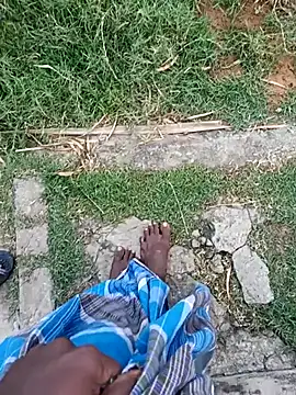 Snapshot of dolphiinn chatting on January 12, 2026, 1:33 am dolphiinn online show from January 12, 2026, 1:33 am