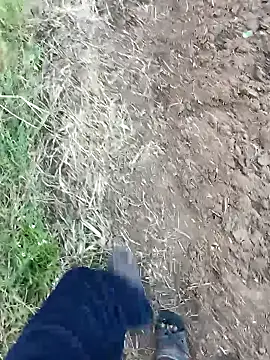 Snapshot of dolphiinn chatting on February 14, 2026, 1:24 am dolphiinn online show from February 14, 2026, 1:24 am