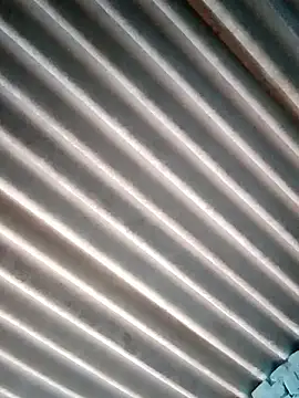 Mohini-xx online show from November 4, 2025, 9:19 am