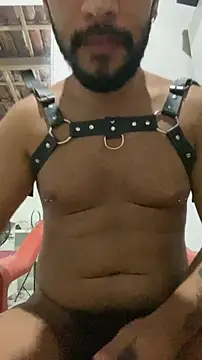 spiderfindom online show from November 4, 2025, 5:28 am