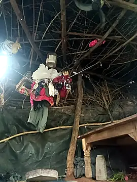 cute diya 12 online show from November 5, 2025, 2:22 am