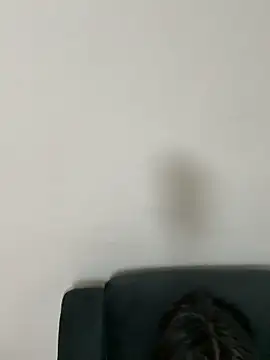 gayfucuxuc online show from December 15, 2025, 1:04 pm