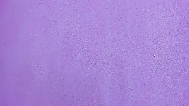 scarlett646 online show from February 24, 2026, 3:04 am