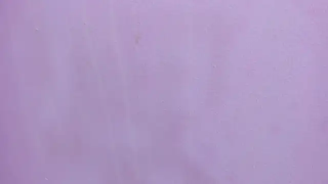 scarlett646 online show from February 28, 2026, 3:07 am