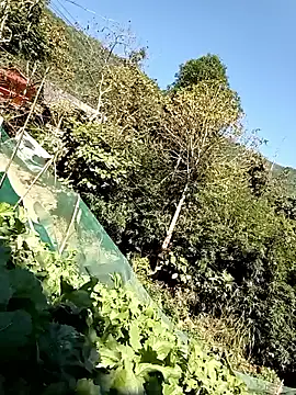 Maymay0033 online show from November 29, 2025, 4:59 am